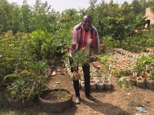 Moringa – Projekt beginnt